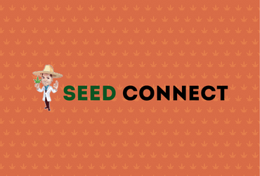 The Seed Connect deals