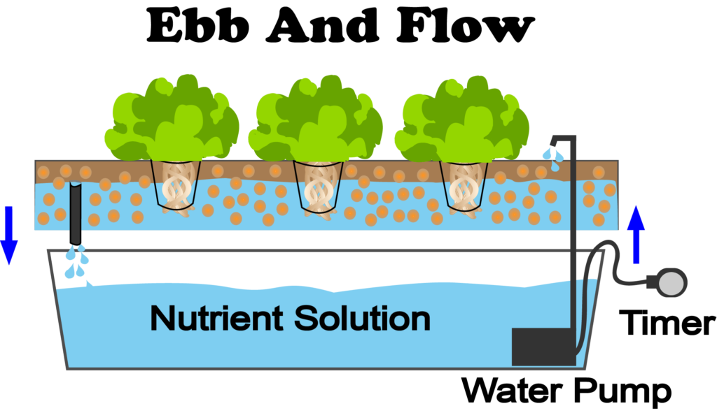 An Image Showing Ebb And Flow Hydroponics System
